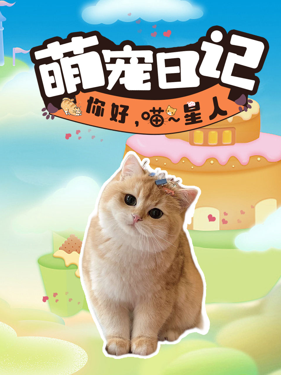 萌宠日记你好喵星人